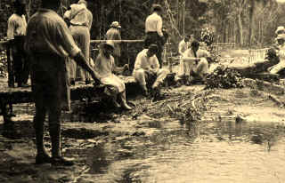 DSC_0238s.JPG (117147 bytes)